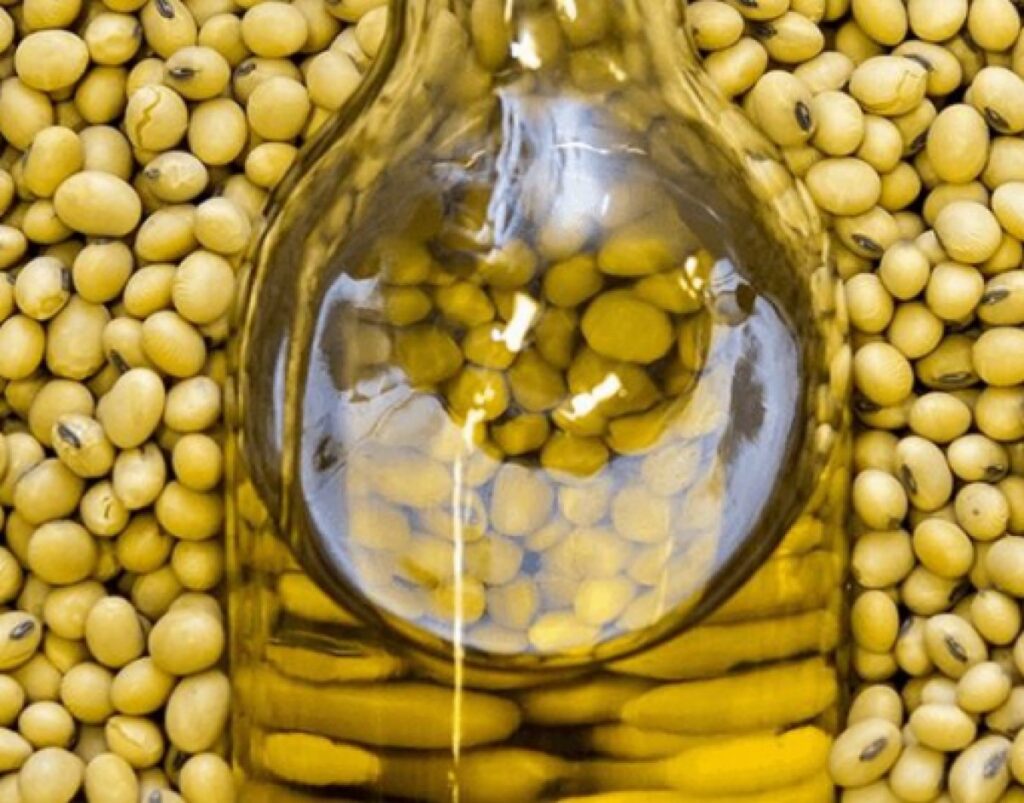 Mato Grosso: Indústria Soja Rompe Estigmas e Atinge Marca Histórica em 2025