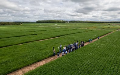 Aprosoja MT Inicia Visitas Técnicas para Potencializar a Agricultura em 2024 Aprosoja MT Inicia Visitas Técnicas para Potencializar a Agricultura em 2024
