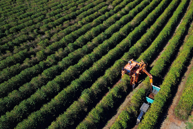 BRDE impulsiona agronegócio no Paraná com R$ 1,26 bilhão em contratações em 2025 BRDE impulsiona agronegócio no Paraná com R$ 1,26 bilhão em contratações em 2025
