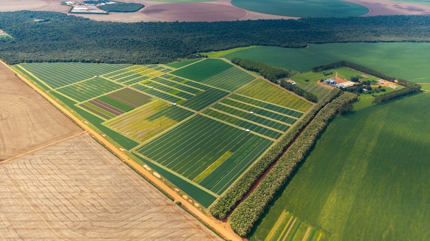 CTECNO Parecis: Uma Década de Inovações que Transformam o Agronegócio CTECNO Parecis: Uma Década de Inovações que Transformam o Agronegócio