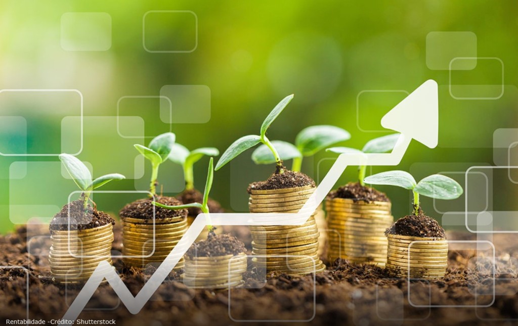 Dólar em Baixa e Juros Elevados: Desafios para as Margens do Agronegócio em 2025 Dólar em Baixa e Juros Elevados: Desafios para as Margens do Agronegócio em 2025