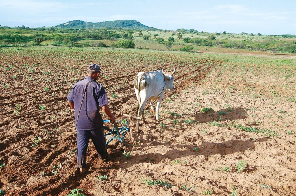 Inadimplência no Agronegócio do RN: O Maior Índice do Nordeste e Quarto do Brasil Inadimplência no Agronegócio do RN: O Maior Índice do Nordeste e Quarto do Brasil