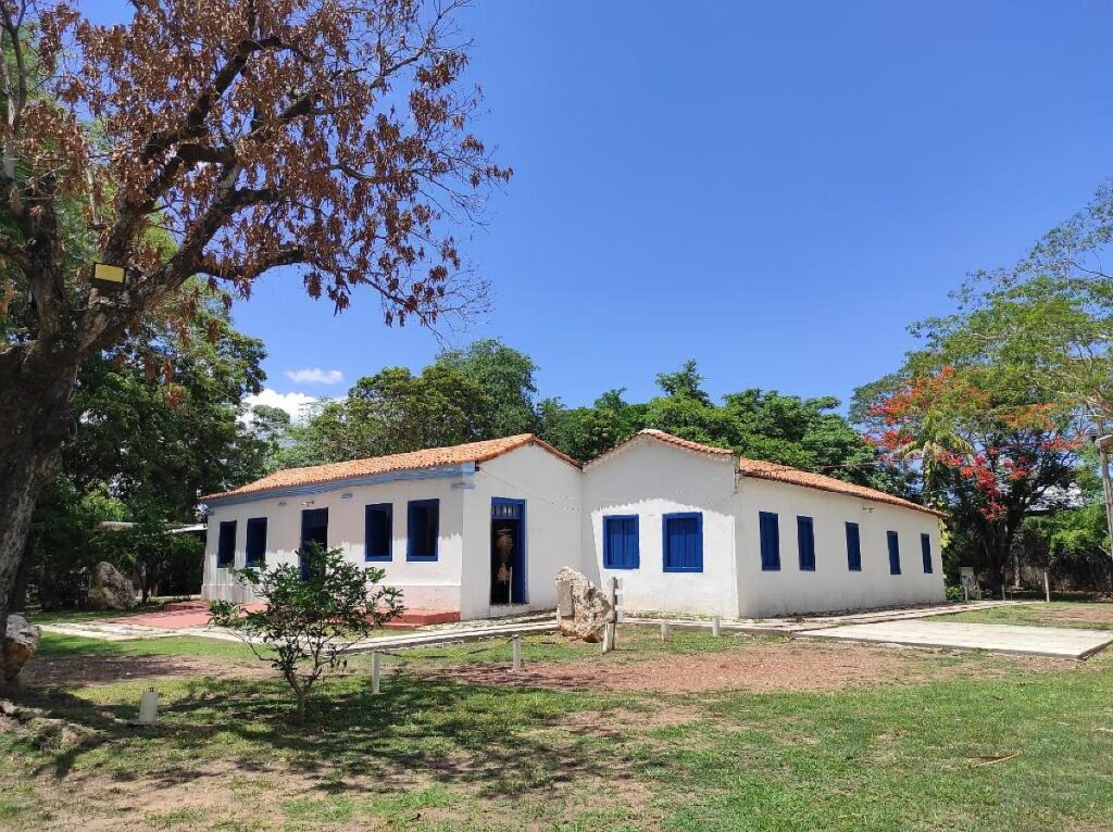 Museu de História Natural reabre com entrada gratuita e novo investimento