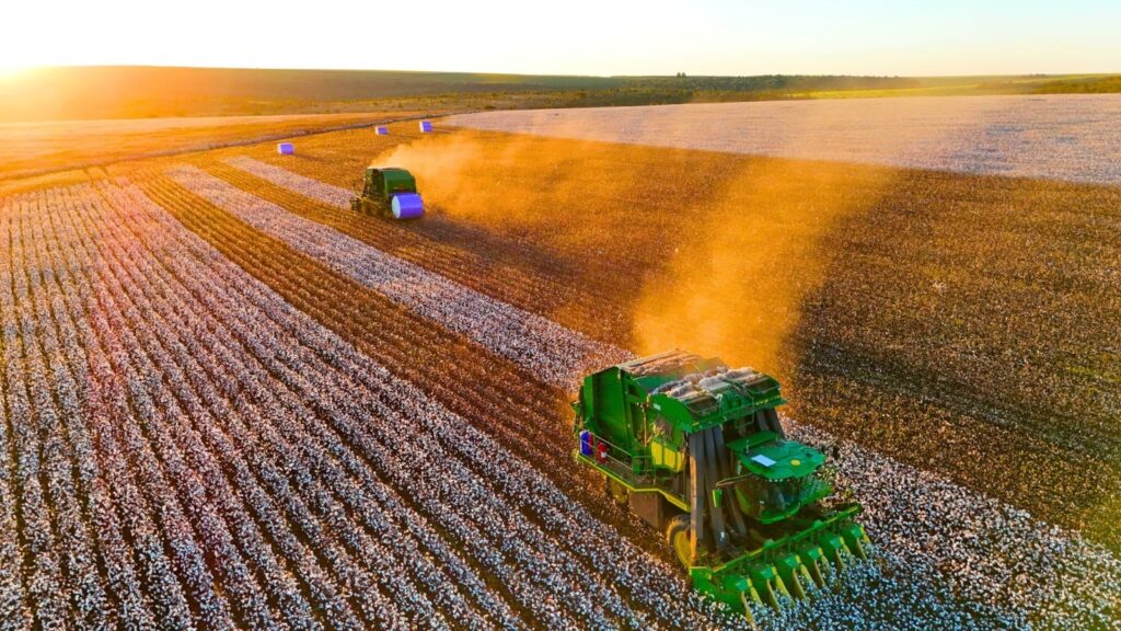 Natter Expande Oportunidades: 27 Novas Vagas no Agronegócio em Mato Grosso Natter Expande Oportunidades: 27 Novas Vagas no Agronegócio em Mato Grosso