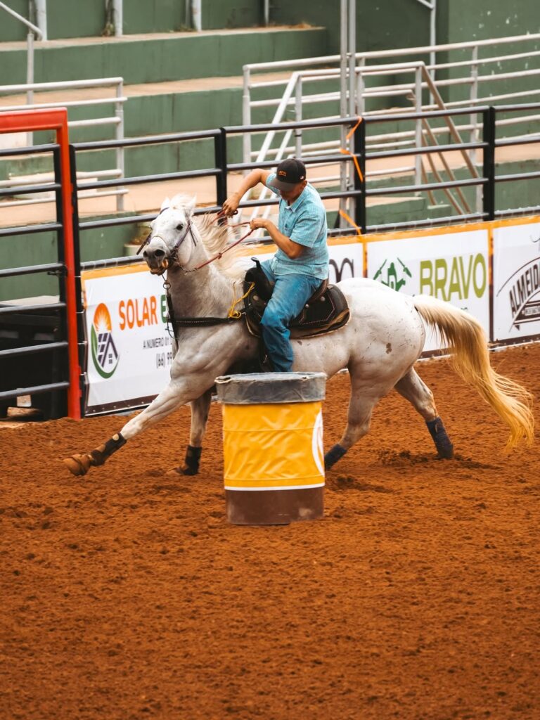 Semana do Cavalo Edição Prime: O Grande Encontro do Agronegócio Equestre em 2026