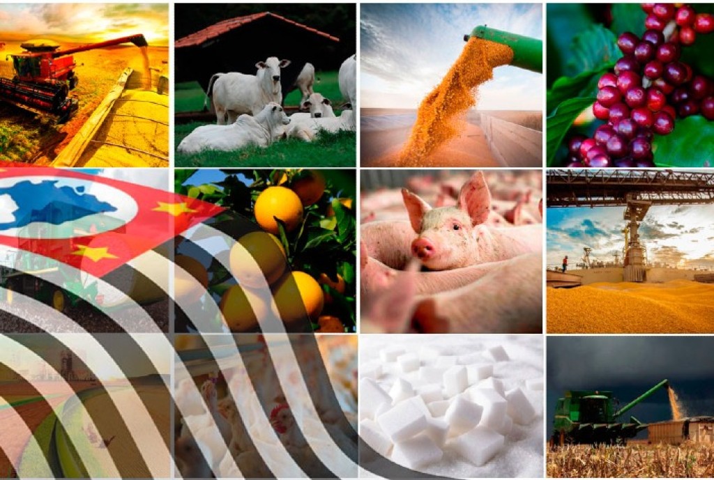 Agropecuária de São Paulo se Destaca com Tecnologia e Sustentabilidade em 2024 Agropecuária de São Paulo se Destaca com Tecnologia e Sustentabilidade em 2024