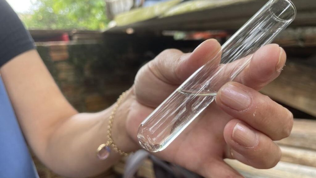 Aumento de Focos do Mosquito da Dengue em Rio Grande: Alerta das Autoridades Aumento de Focos do Mosquito da Dengue em Rio Grande: Alerta das Autoridades