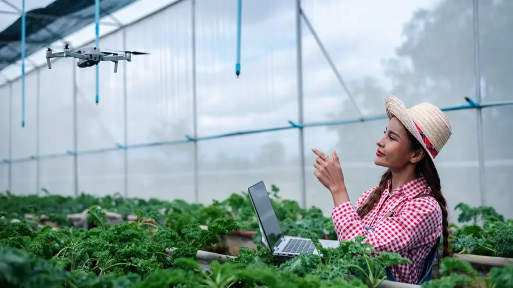 Avanços e Desafios do Agronegócio Digital Brasileiro: A Conectividade no Campo