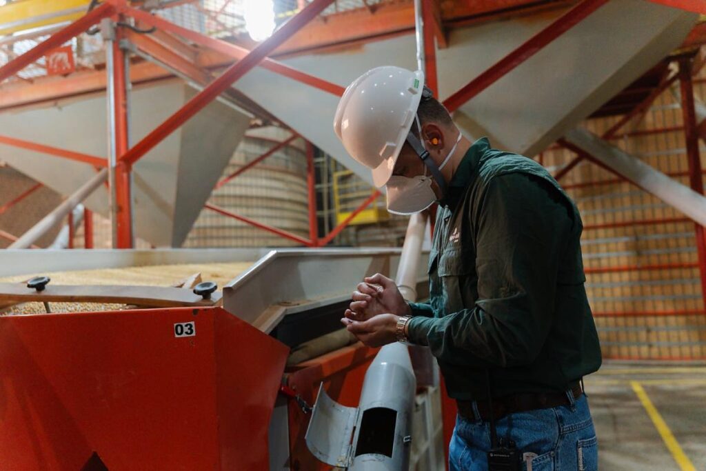 Beneficiamento de Soja Impulsiona Safra de Sementes em Mato Grosso Beneficiamento de Soja Impulsiona Safra de Sementes em Mato Grosso