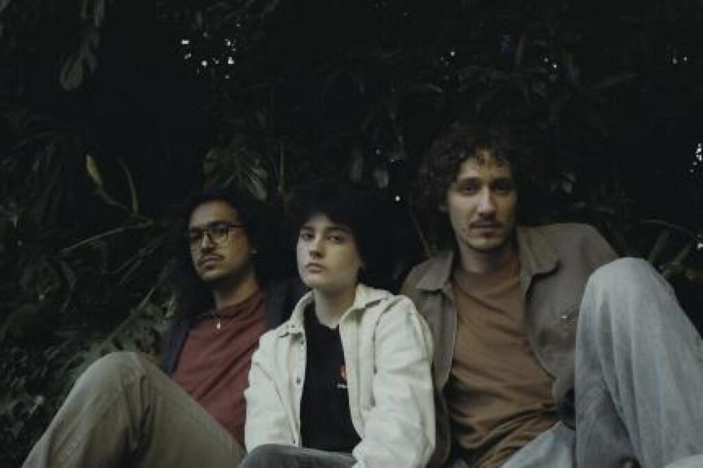 Capivara Independente: Festival Celebra a Cultura em Cuiabá com Música e Intercâmbio Artístico