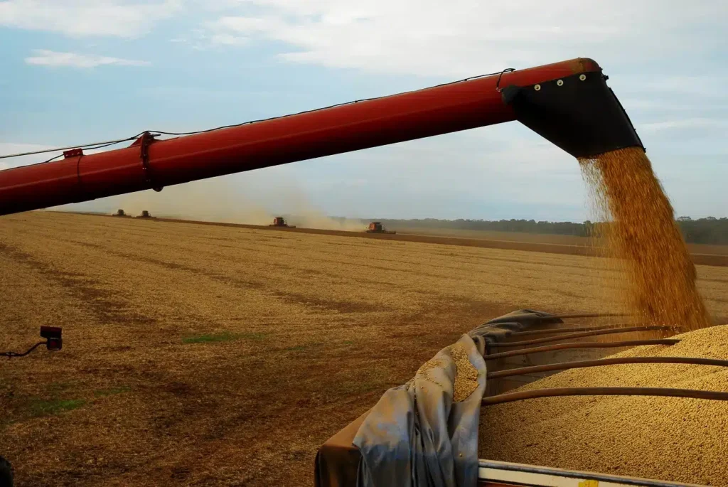 Colheita de Soja em Mato Grosso: Trégua das Chuvas Impulsiona Progresso na Safra 2025/26 Colheita de Soja em Mato Grosso: Trégua das Chuvas Impulsiona Progresso na Safra 2025/26