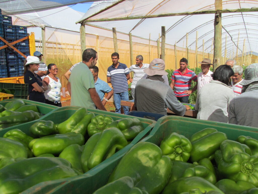 Curso Gratuito de Gestão no Agronegócio da Emater-DF: Inscreva-se Já!