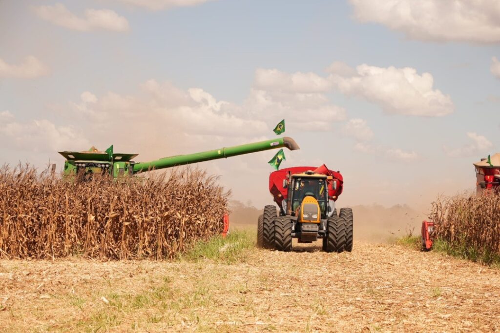 Custos de Produção da Soja e do Milho em Mato Grosso: Dados do Imea e Senar MT Custos de Produção da Soja e do Milho em Mato Grosso: Dados do Imea e Senar MT