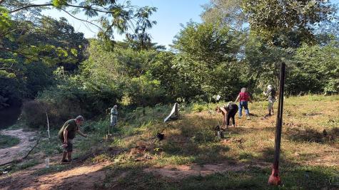 Dia Mundial das ONGs: Plantio de 100 Árvores na UFMT Reforça Compromisso Ambiental Dia Mundial das ONGs: Plantio de 100 Árvores na UFMT Reforça Compromisso Ambiental