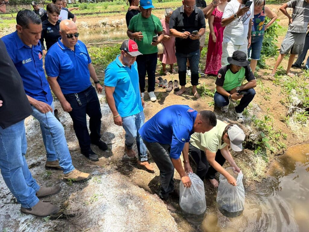 Juca do Guaraná Avança em Projeto de Aquaponia e Entrega Alevinos em Várzea Grande