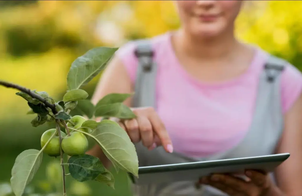 Mato Grosso Destaca Cinco Empresas em Seleção Internacional de Bioeconomia