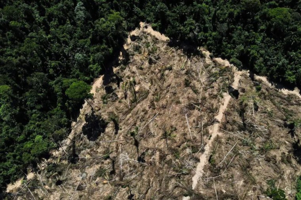Audiência Pública em MT Debaterá Biomassa e Sustentabilidade Audiência Pública em MT Debaterá Biomassa e Sustentabilidade