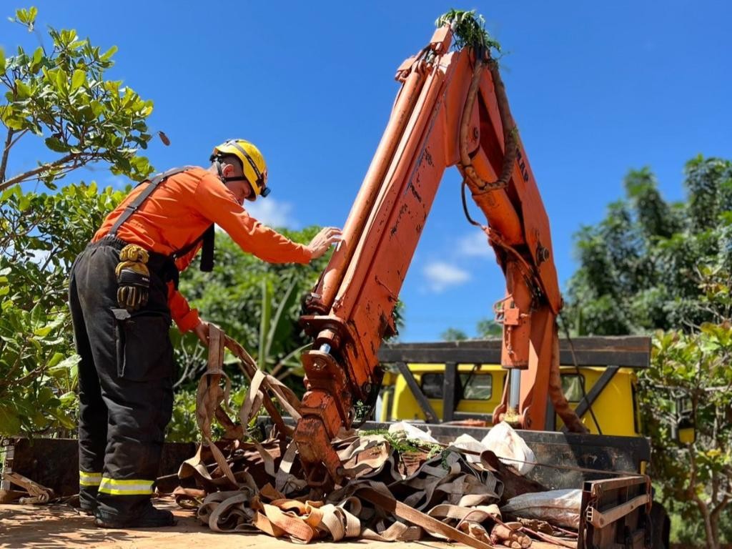 Corpo de Bombeiros Resgata Anta Ferida na BR-163: Ação Rápida e Eficiente Corpo de Bombeiros Resgata Anta Ferida na BR-163: Ação Rápida e Eficiente