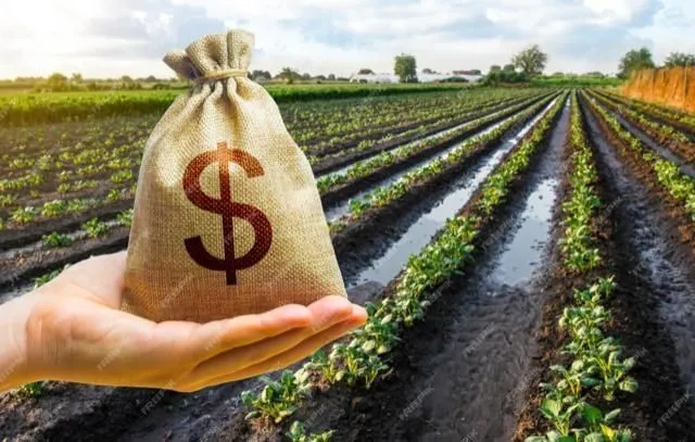 Crescimento do PIB do Agronegócio Paulista em 2024: Alta de 4% segundo Cepea/Fiesp Crescimento do PIB do Agronegócio Paulista em 2024: Alta de 4% segundo Cepea/Fiesp