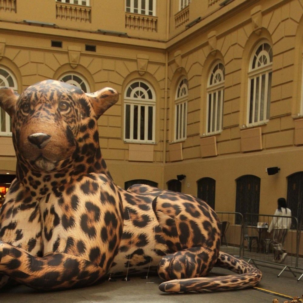 Exposição Revela a Cultura dos Memes: Uma Viagem pelo Humor Digital Exposição Revela a Cultura dos Memes: Uma Viagem pelo Humor Digital