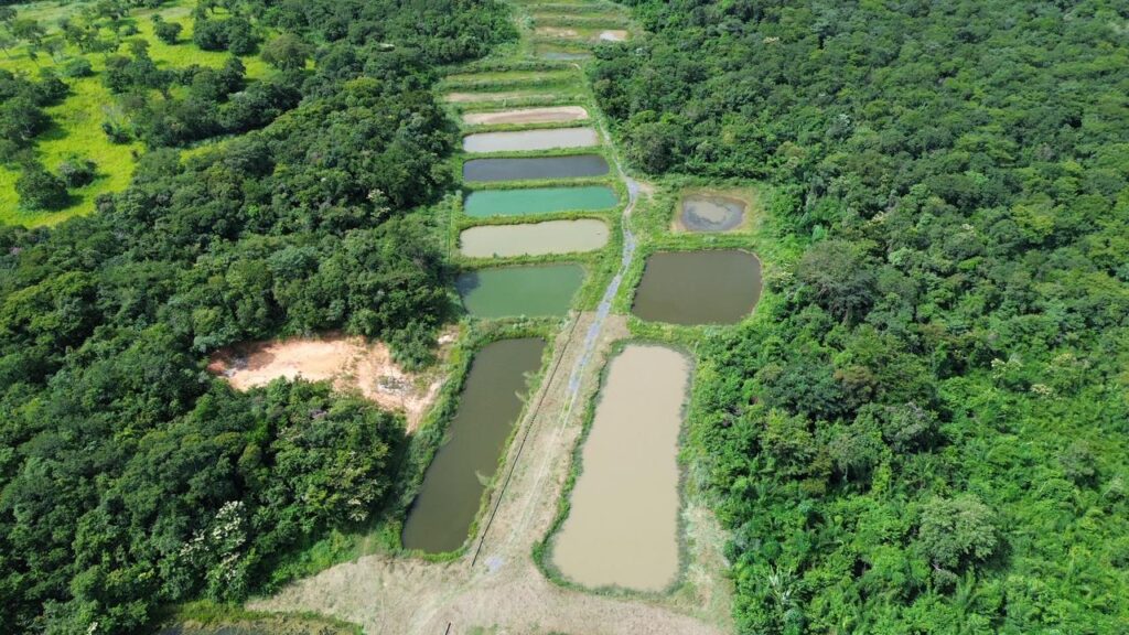 Inovação no Agronegócio: Nova Unidade da Embrapa Potencializa Agricultura Familiar em Mato Grosso