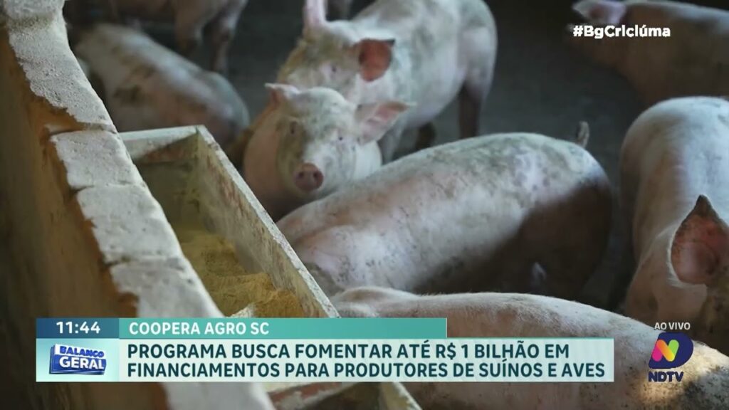 Programa Coopera Agro SC: Até R$ 1 Bilhão em Crédito para o Agronegócio
