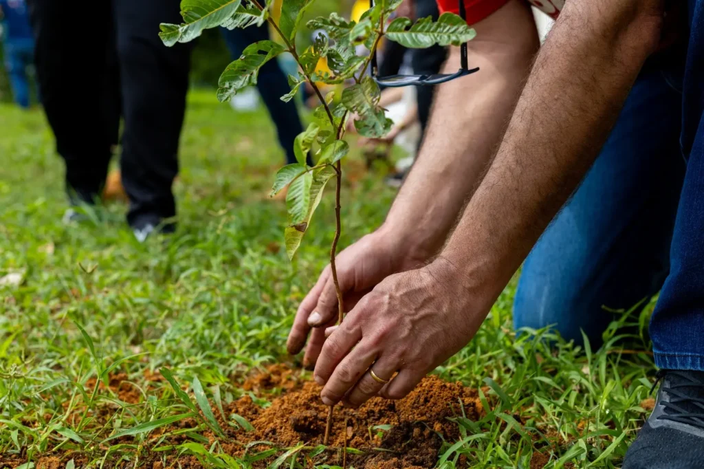 Programa Verde Novo Promove Sustentabilidade no Rotary Day em Várzea Grande Programa Verde Novo Promove Sustentabilidade no Rotary Day em Várzea Grande