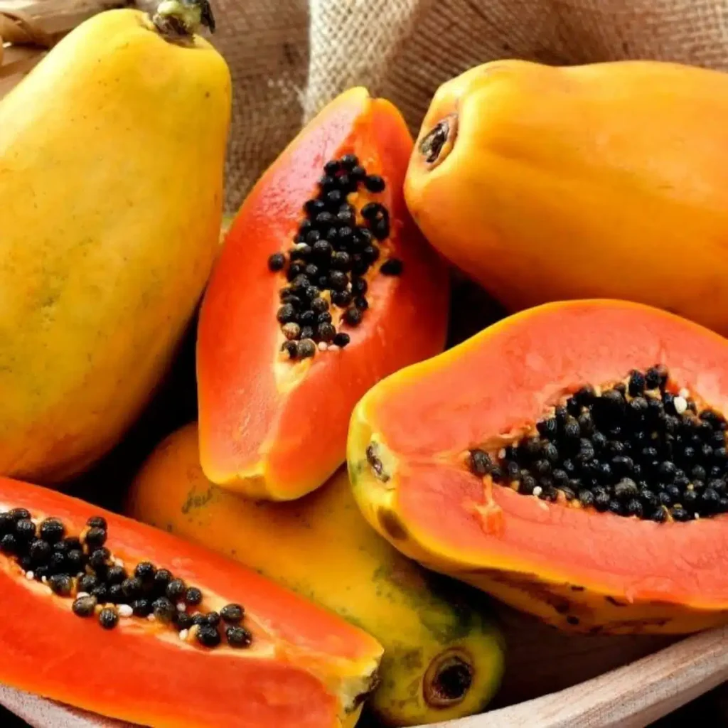 Queda nos Preços do Mamão Havaí no Espírito Santo: O Que Esperar?