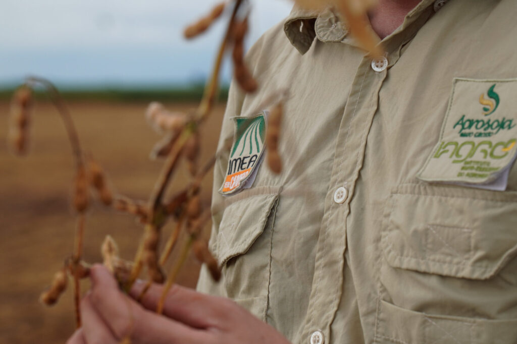 Resultados Reveladores da Etapa Soja 2025/26 no Imea em Campo