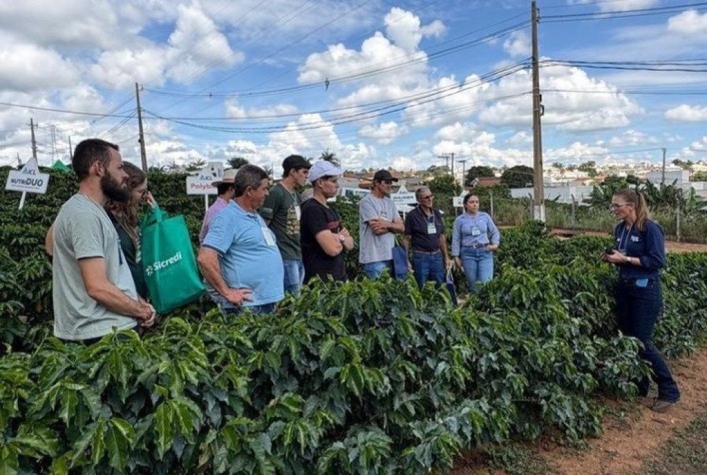 Tecnologia na Cafeicultura de Minas Gerais: Inovação para Superar Desafios Climáticos e de Mercado Tecnologia na Cafeicultura de Minas Gerais: Inovação para Superar Desafios Climáticos e de Mercado
