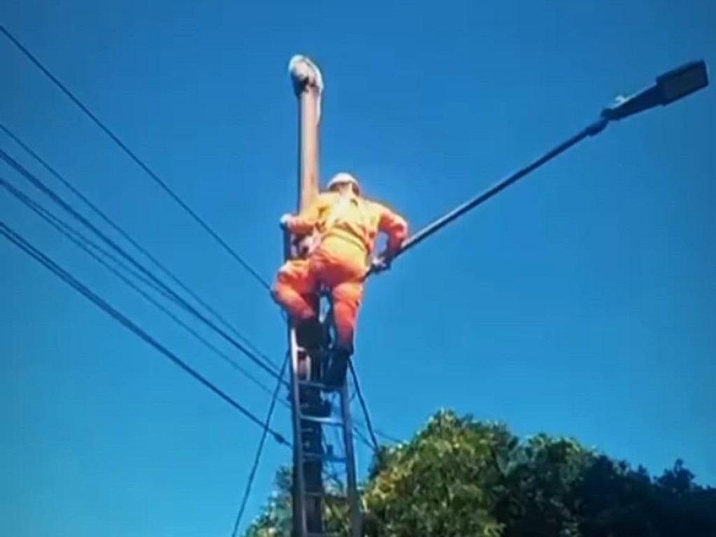 Bombeiros Resgatam Ouriço em Poste de Iluminação Pública em Campo Verde Bombeiros Resgatam Ouriço em Poste de Iluminação Pública em Campo Verde
