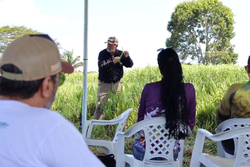 Capacitação Inova com Tecnologia de Baixo Carbono para Produtores no Norte de MT