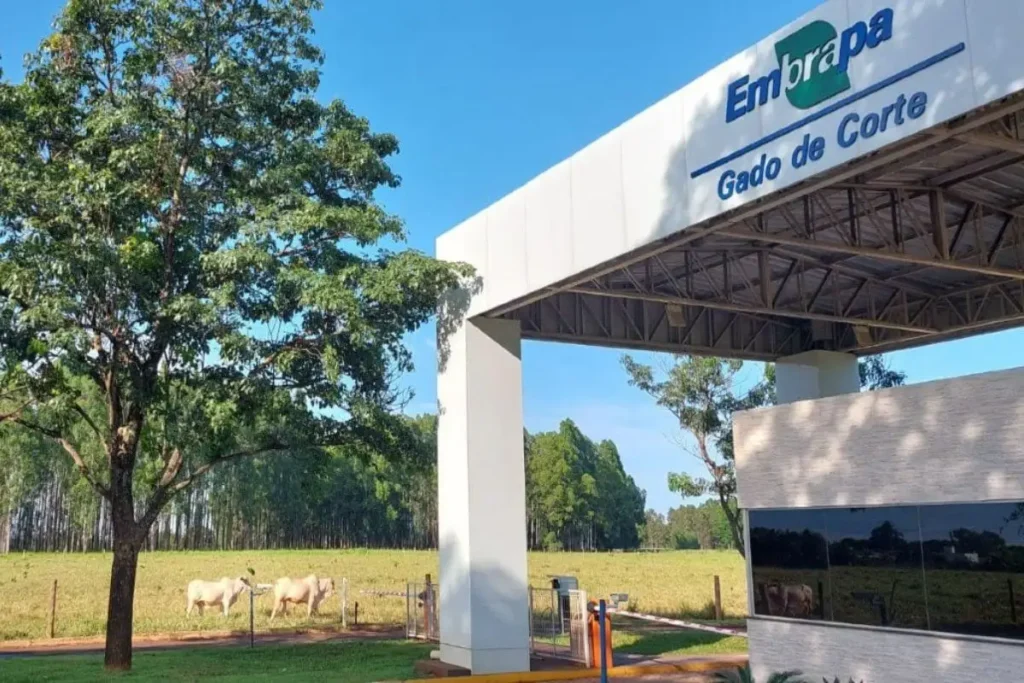 Embrapa Leva Inovações da Pecuária Tropical à Etiópia em Missão Técnica