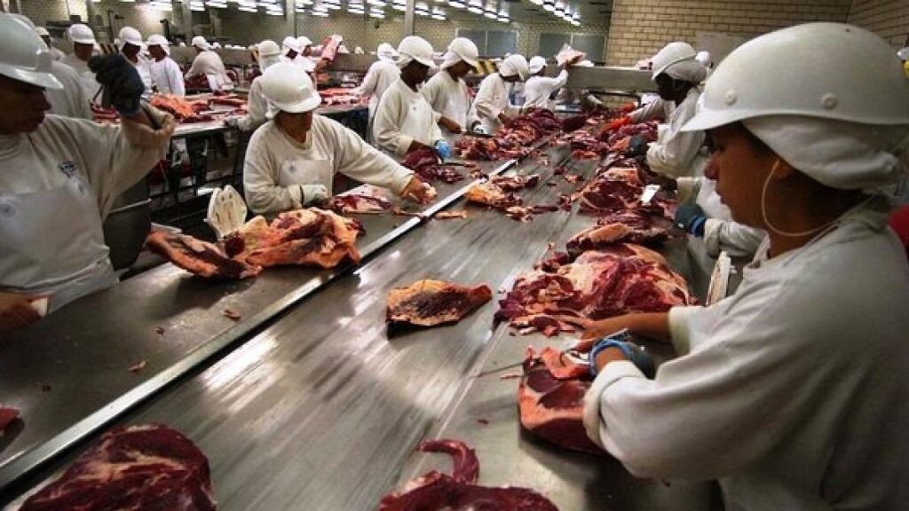 Mato Grosso Bate Recorde em Exportações de Carne Bovina no 1º Trimestre de 2026