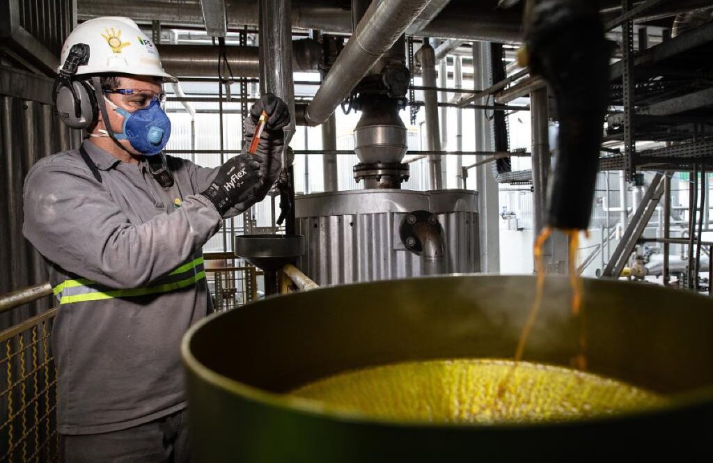 Mato Grosso: O Pilar da Produção de Etanol de Milho no Brasil