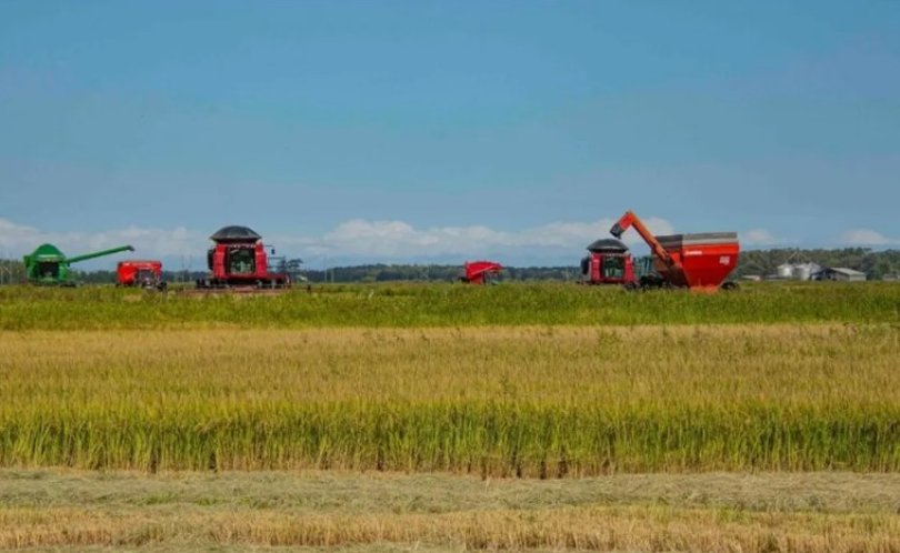 Produtor Rural Reduz Dívidas de R$ 12 Mi para R$ 2,3 Mi em Processo Judicial Produtor Rural Reduz Dívidas de R$ 12 Mi para R$ 2,3 Mi em Processo Judicial