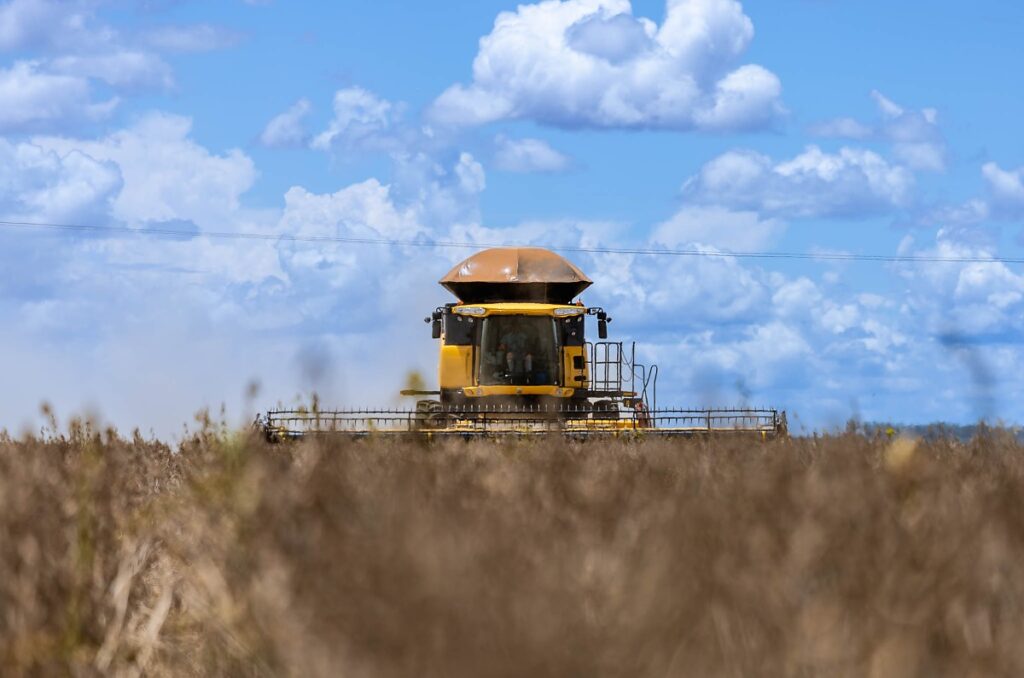 Safra de Soja em Mato Grosso: Produção Supera 51 Milhões de Toneladas Apesar de Desafios Climáticos Safra de Soja em Mato Grosso: Produção Supera 51 Milhões de Toneladas Apesar de Desafios Climáticos