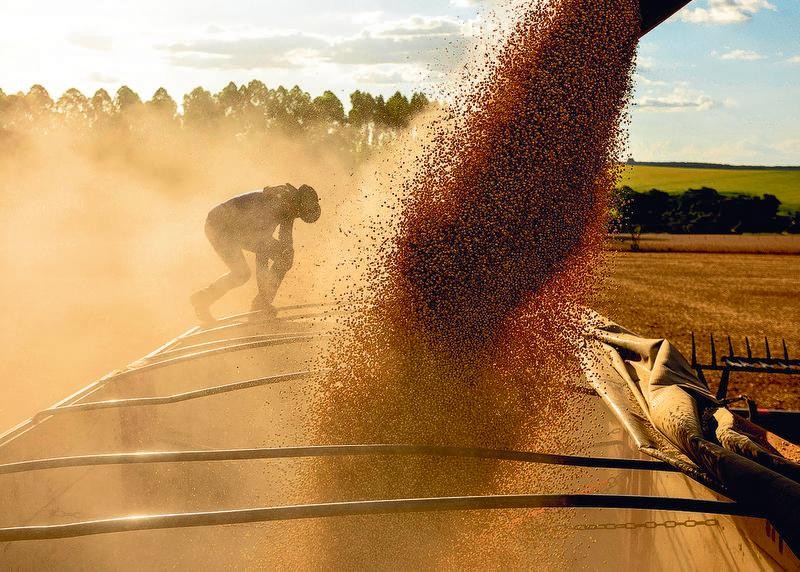Sustentabilidade Aumenta Potencial do Agronegócio Brasileiro Sustentabilidade Aumenta Potencial do Agronegócio Brasileiro