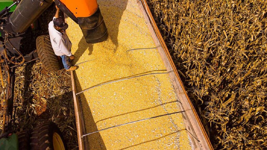 Mato Grosso: Líder do Agronegócio e Expectativa de R$ 206 Bilhões em 2026