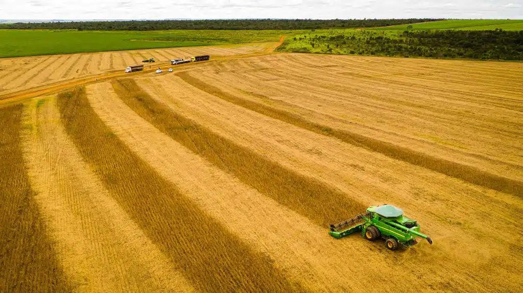 Mato Grosso Se Consolida como Líder na Produção de Soja pelo 26º Ano Seguida Mato Grosso Se Consolida como Líder na Produção de Soja pelo 26º Ano Seguida