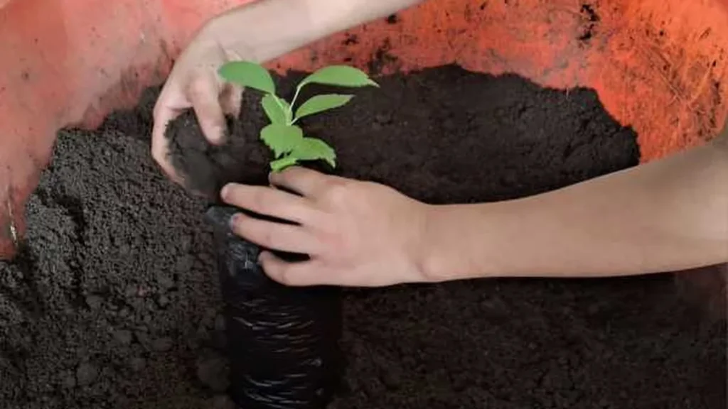 Oficina de Educação Ambiental transforma alunos da Escola Érico Veríssimo