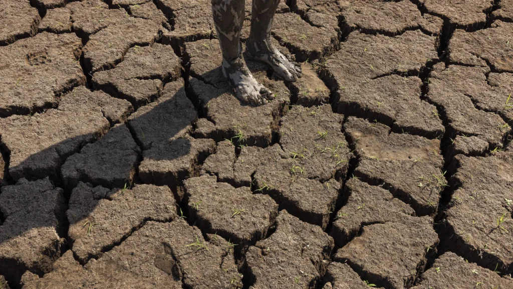 El Niño começa e deve se intensificar para nível moderado ou forte, alerta agência dos EUA
