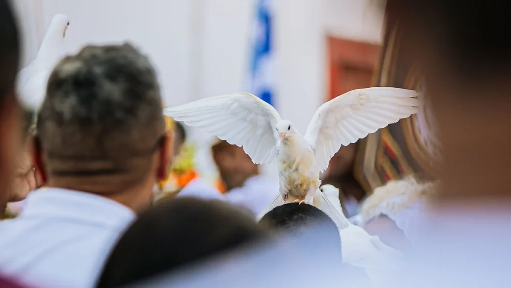 Lavagem do Rosário celebra 10 anos com homenagem aos imigrantes em Cuiabá Lavagem do Rosário celebra 10 anos com homenagem aos imigrantes em Cuiabá