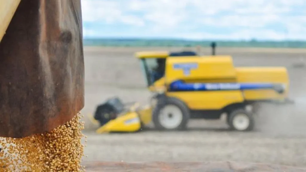 Mato Grosso do Sul fortalece liderança no agronegócio brasileiro em 2025 com recordes históricos