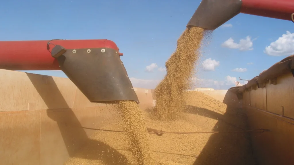 Mato Grosso Reforça Liderança no Agronegócio com Safra 2025/26 Recorde Mato Grosso Reforça Liderança no Agronegócio com Safra 2025/26 Recorde