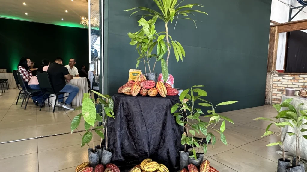 Expoagro promove imersão inédita sobre a cultura do cacau em Mato Grosso Expoagro promove imersão inédita sobre a cultura do cacau em Mato Grosso