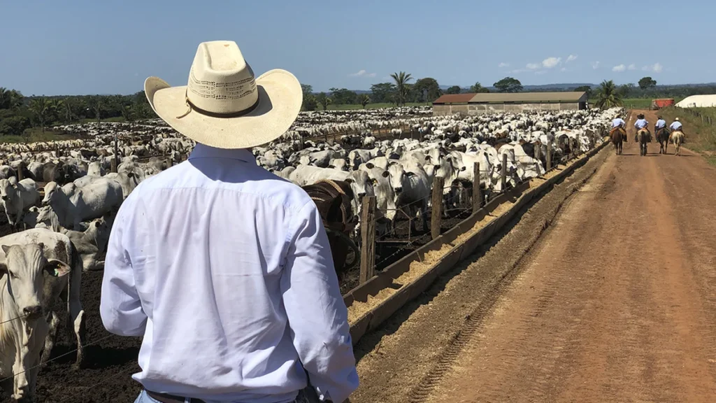 Cooperativismo impulsiona 18,2% do PIB de Mato Grosso do Sul em 2025