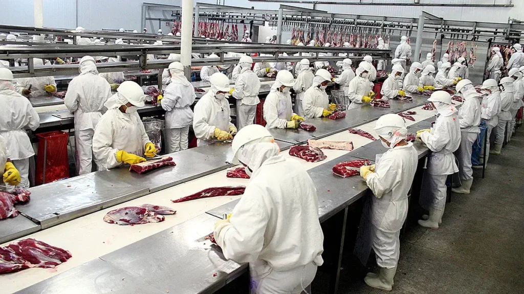 Mato Grosso do Sul mantém forte produção de bovinos no primeiro semestre de 2026 Mato Grosso do Sul mantém forte produção de bovinos no primeiro semestre de 2026