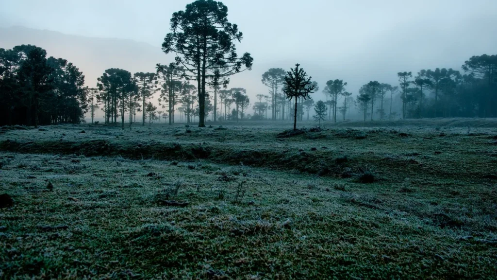 Mais frio e chuva acima da média: veja o que esperar do clima no Brasil em julho Mais frio e chuva acima da média: veja o que esperar do clima no Brasil em julho